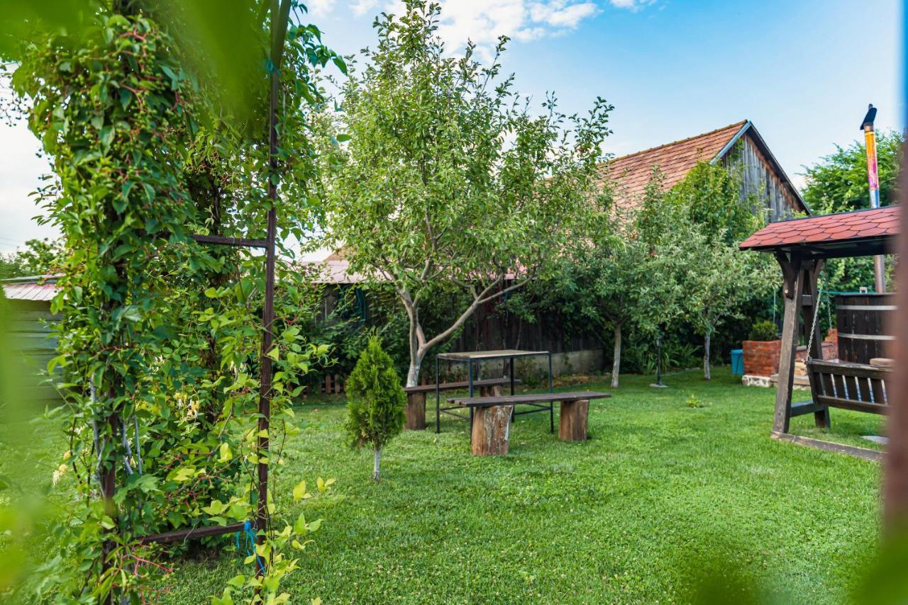 Casa Dives - Transylvania Pianu de Sus エクステリア 写真